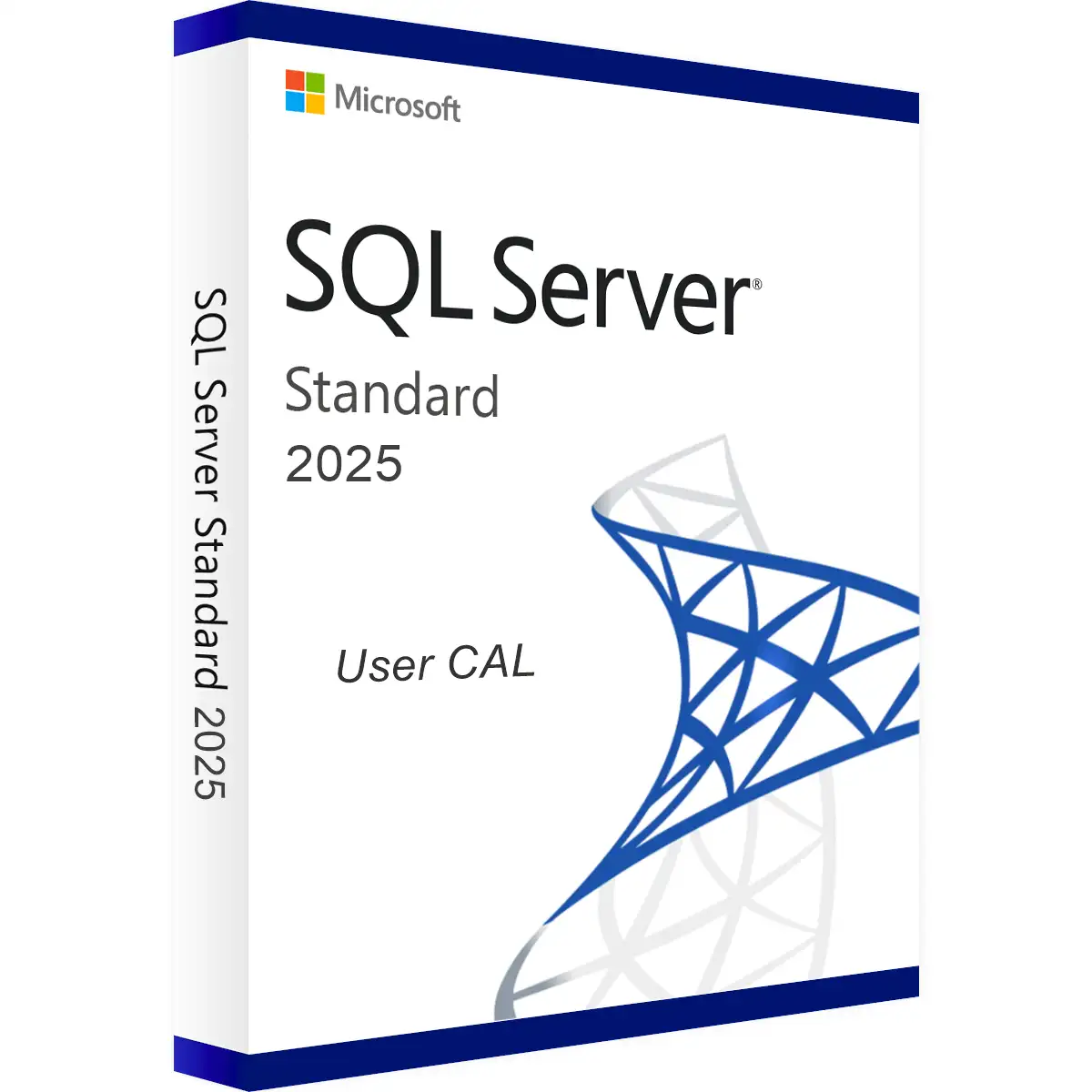 Microsoft SQL Server 2025 User CAL kaufen